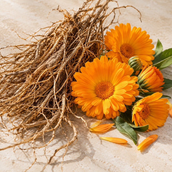 Vetiver & Marigold