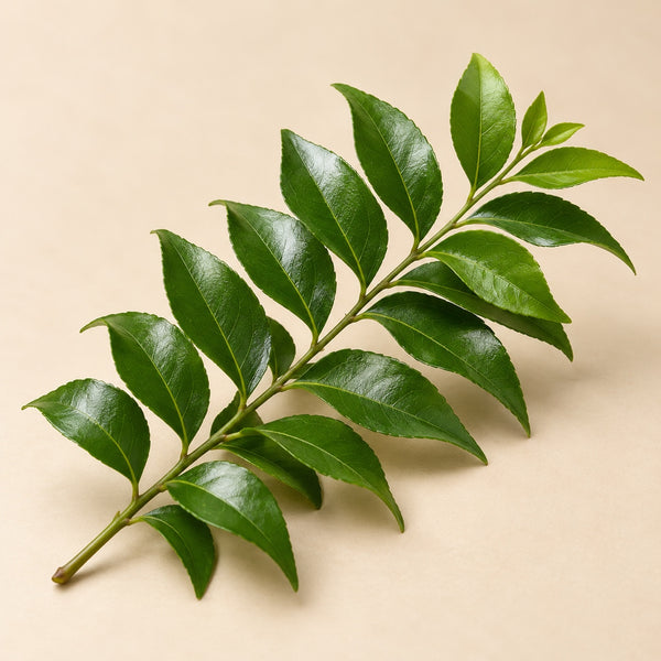 Curry Leaves